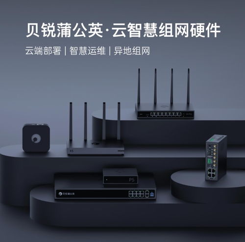 貝銳蒲公英異地組網路由器銷量再奪第一，領跑中國市場